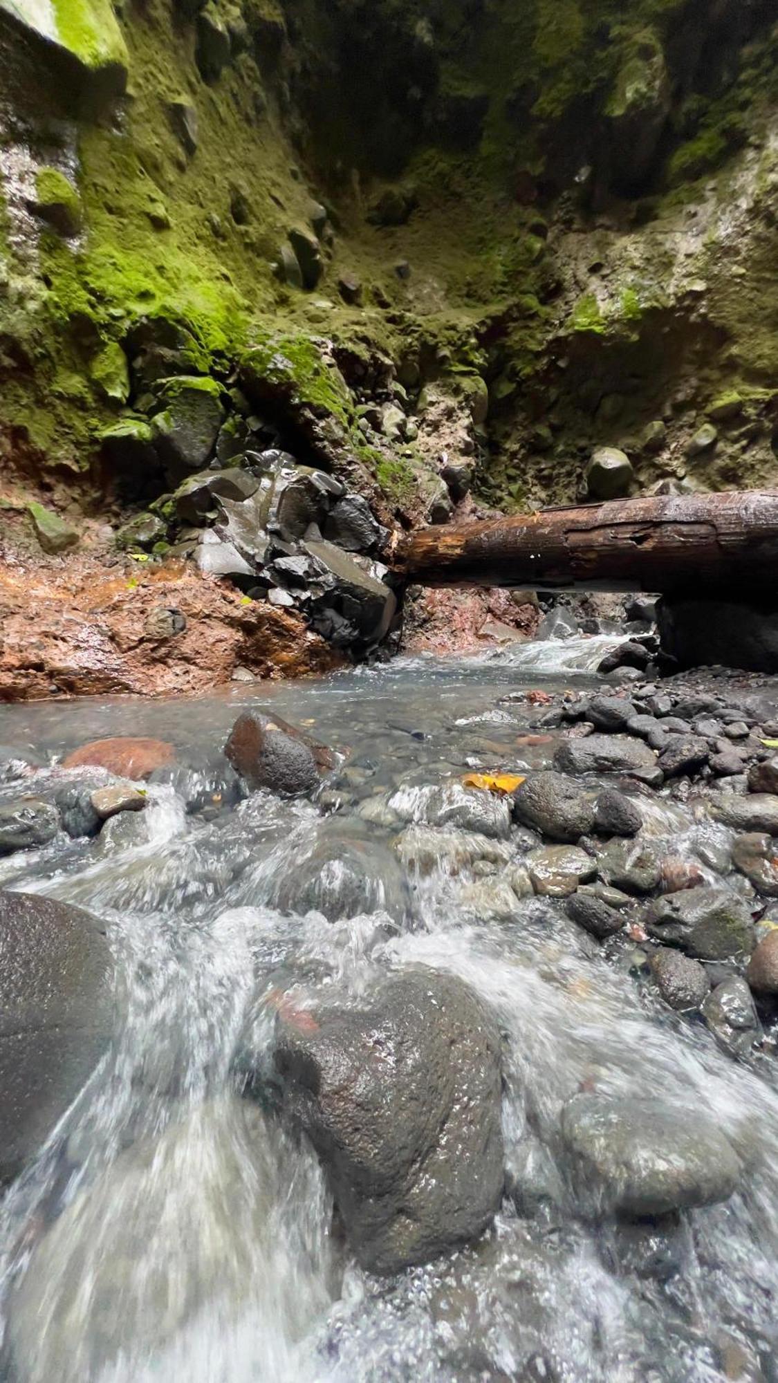 Mineral River Eco Village Upala Luaran gambar